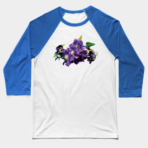 Clematis - Purple Clematis with Vine Baseball T-Shirt by SusanSavad